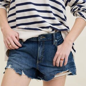 Aerie Daydream Distressed Shorts, Rocky Blue, Medium